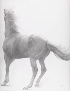 Kicking Off, Series 2, 2012 (grafit na papíře)